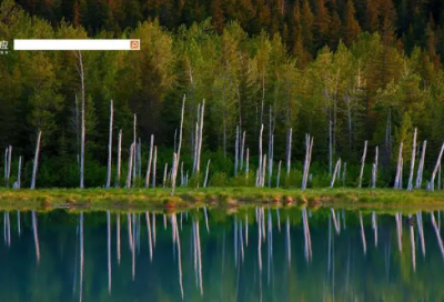 ​祝事业前程似锦的祝福语推荐(精选56句)