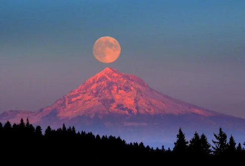 1709266279180835.png image.png