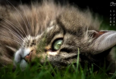 ​祝学生的祝福语四个字 毕业祝学生的祝福语四个字