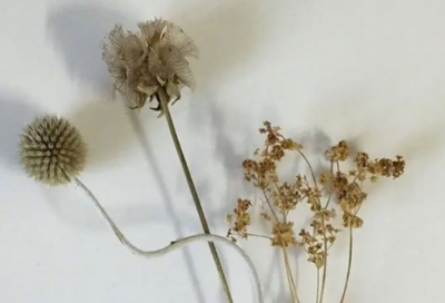 ​2024年国际家庭日短信祝福语大全(精选45句)