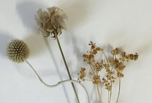 1709269282548666.png image.png