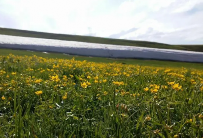 ​五一生日快乐祝福 五一节过生日祝福语(精选64句)