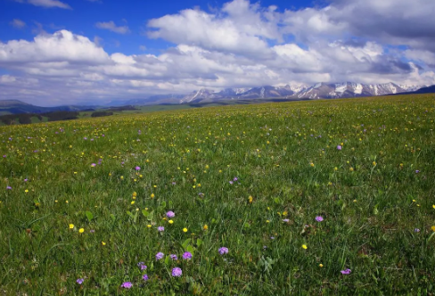 1709271783729446.png image.png