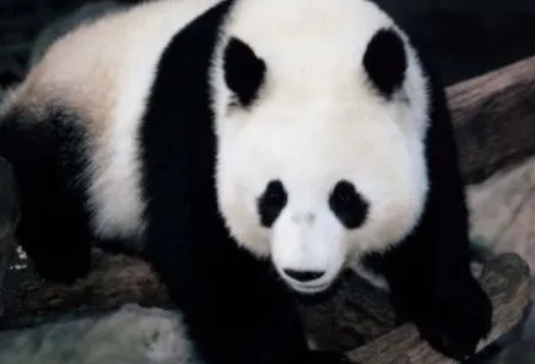 1709273284200943.png image.png