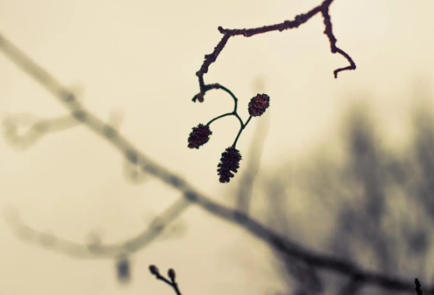 1709275454699734.png image.png