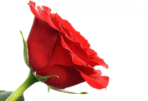 1709276289454283.png image.png