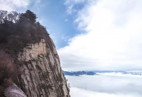 1709277790342141.png image.png