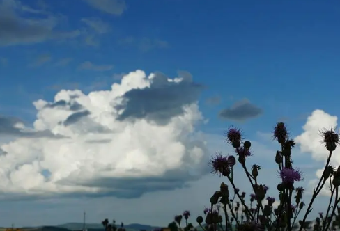 1709282292861420.png image.png