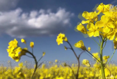 1709282792892057.png image.png