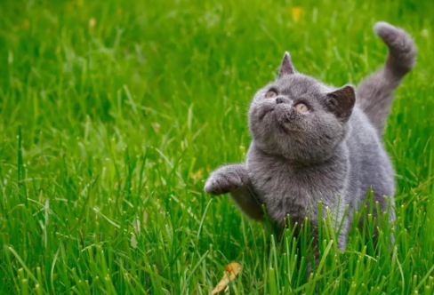 1709284794523519.png image.png