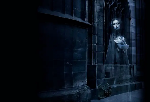 1709285795281555.png image.png