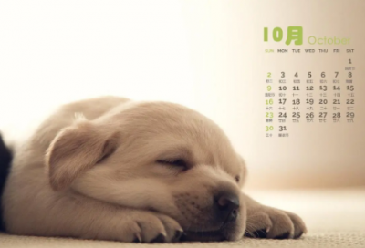 ​自己18岁生日的祝福文案(精选56句)