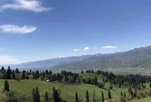 1709303464231730.png image.png