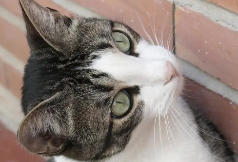 1709304634953792.png image.png