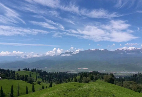 1709304801531601.png image.png