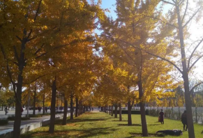 ​初三祝福语简洁 初三中考祝福语简洁(精选56句)