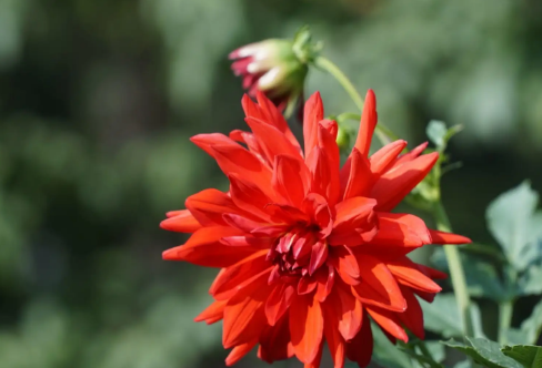 1709313508866020.png image.png