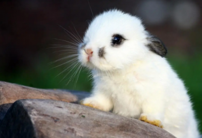 ​生日祝福语简短独特短句大全(精选68句)