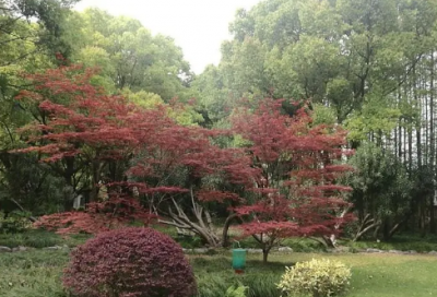 ​小宝宝祝福语唯美 小宝宝祝福语唯美简短(精选49句)