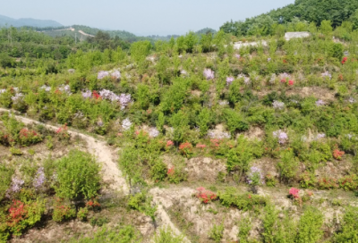 ​生日祝福文案简短 生日祝福话语 暖心简短
