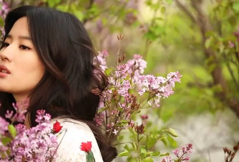 1709607542870528.png image.png