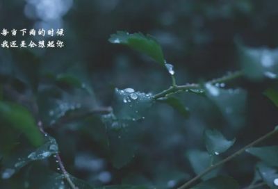 ​春夏秋冬天描写的句子