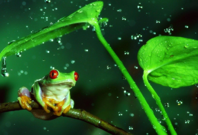 ​赞美同学友情句子唯美