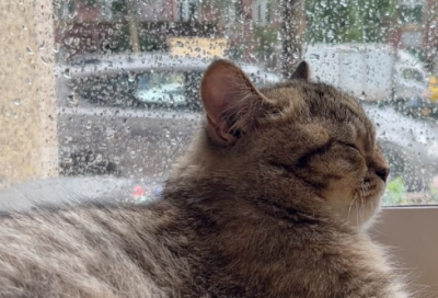 ​昨天今天明天唯美句子