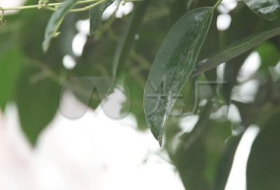 ​高考加油短视频文案句子230句