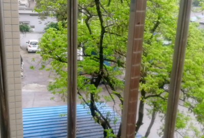 ​酒后感慨的经典句子