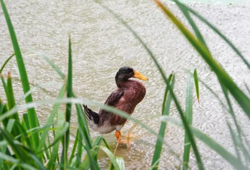 1711131251296960.png image.png