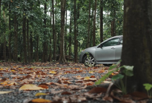 1711131750609217.png image.png