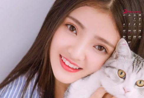 1711293082496936.png image.png