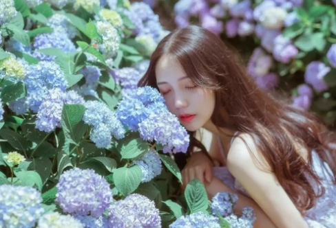 1711315649587831.png image.png