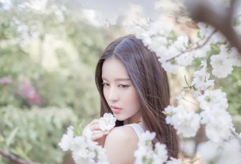 1711326489569991.png image.png