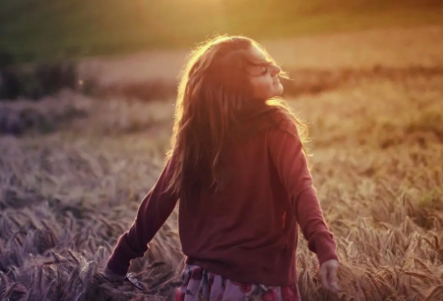 1711336829734801.png image.png