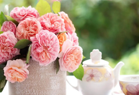 1711357346758066.png image.png