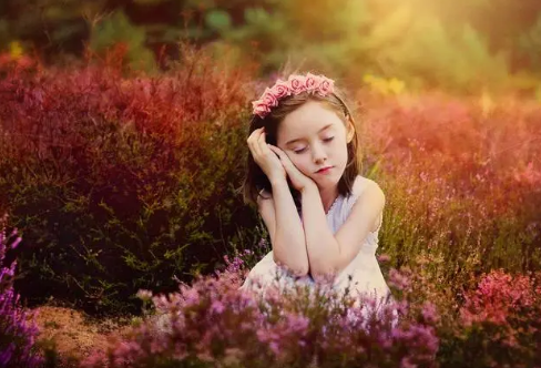 1711364126943555.png image.png