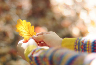 ​爱情表白最感动的句子 向爱人表白最感动的句子