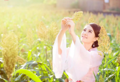 ​道貌岸然造句 道貌岸然造句短句(精选78句)