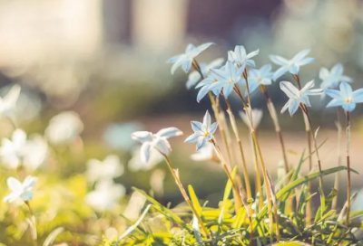 ​高考倒计时励志文案 高考倒计时句子文案(精选70句)