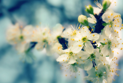 ​结束假期的收心的句子汇编(精选68句)