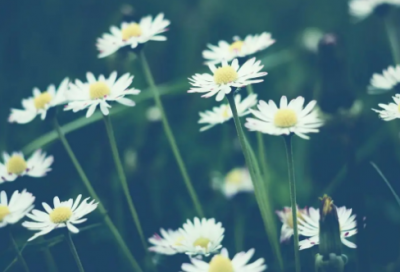 ​哄女孩子开心的话 逗女孩开心的聊天句子(精选96句)