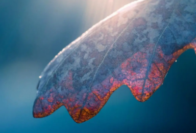 ​晚安温馨句子 睡前最暖心的晚安(精选74句)