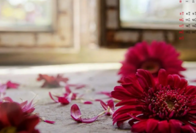 ​男朋友生日的暖心句子(精选55句)