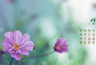 ​童心未泯的经典语录 童真童趣的经典句子(精选78句)