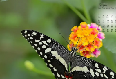 ​2024负重前行的句子 老公替你负重前行句子