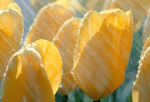 1711396329742878.png image.png