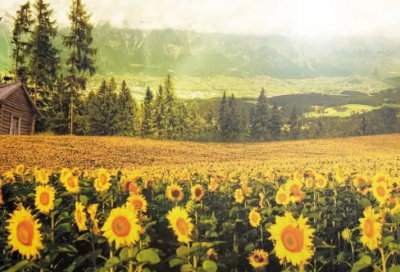 ​生活感悟的句子发朋友圈 感悟生活的句子发朋友圈图片