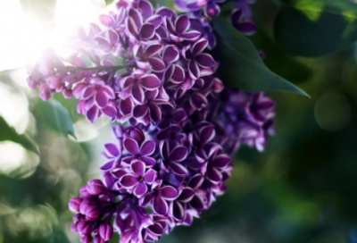 ​男人累的句子 男人累的句子(精选80句)